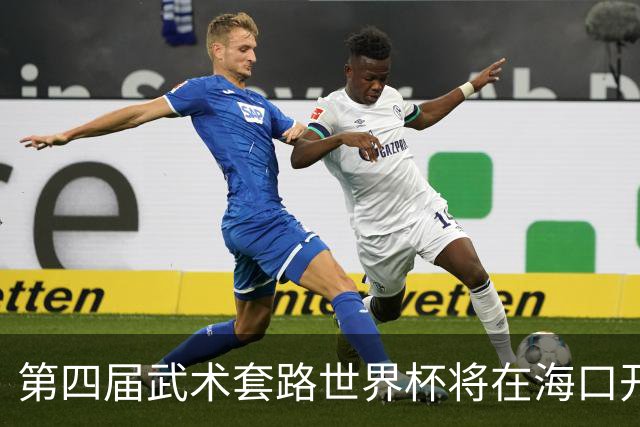 第四届武术套路世界杯将在海口开赛 30多个国家和地区人员参赛